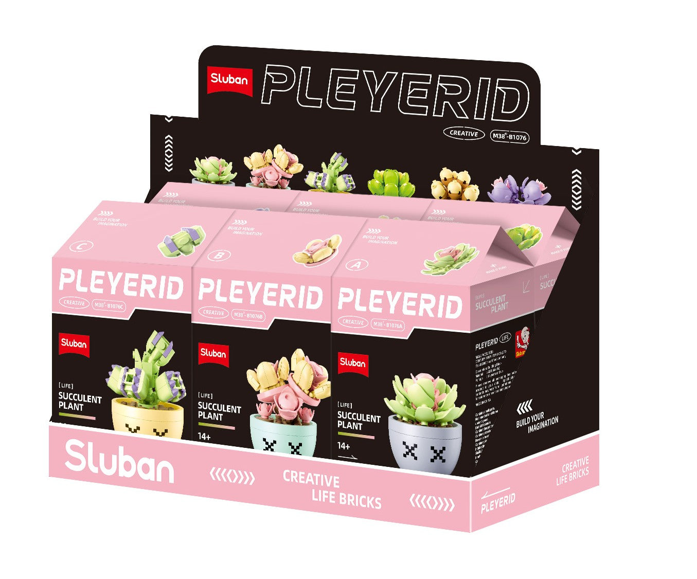 B1076 POTTED PLANTS SUCCULENT