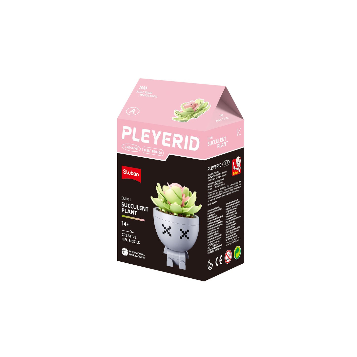B1076 POTTED PLANTS SUCCULENT