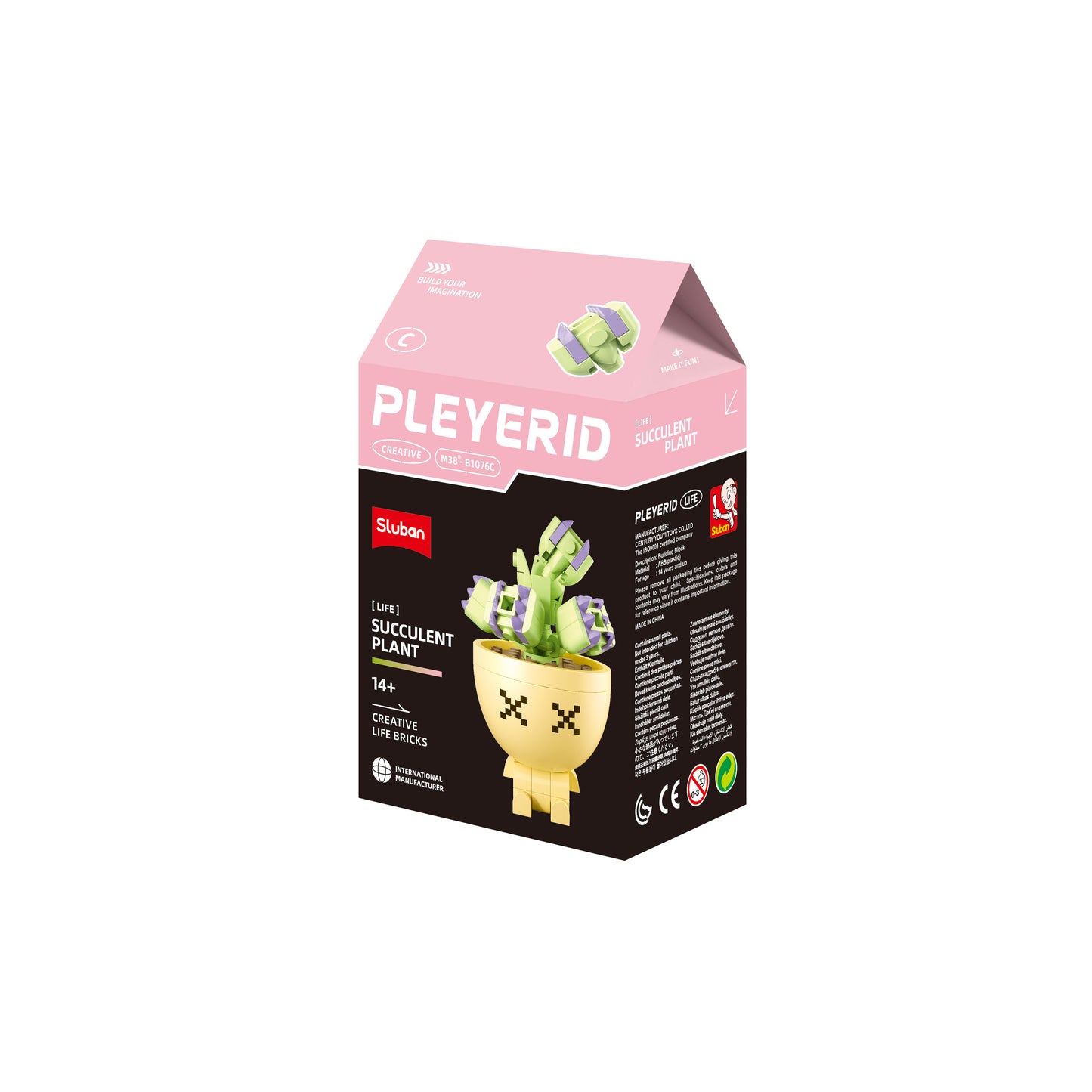 B1076 POTTED PLANTS SUCCULENT