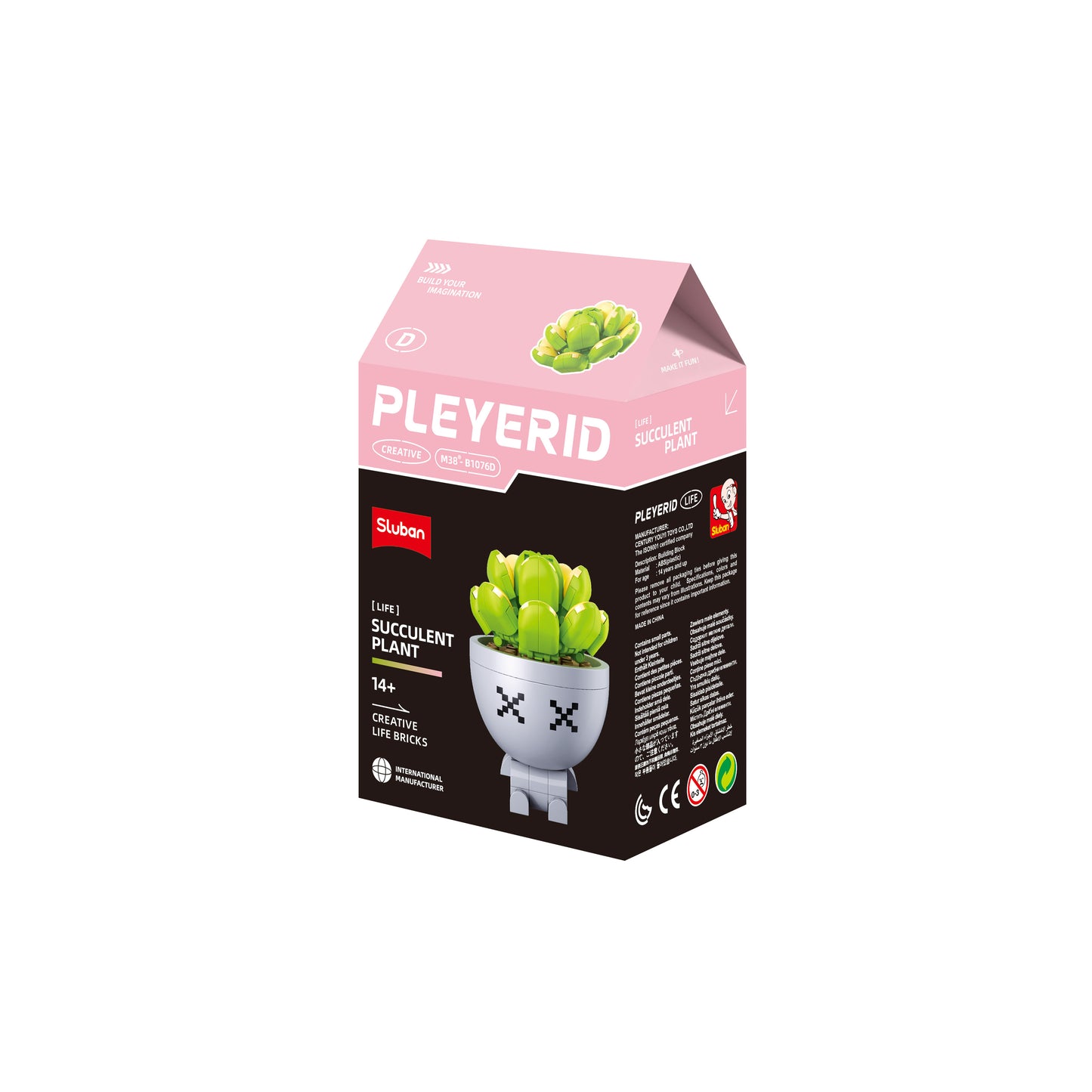B1076 POTTED PLANTS SUCCULENT