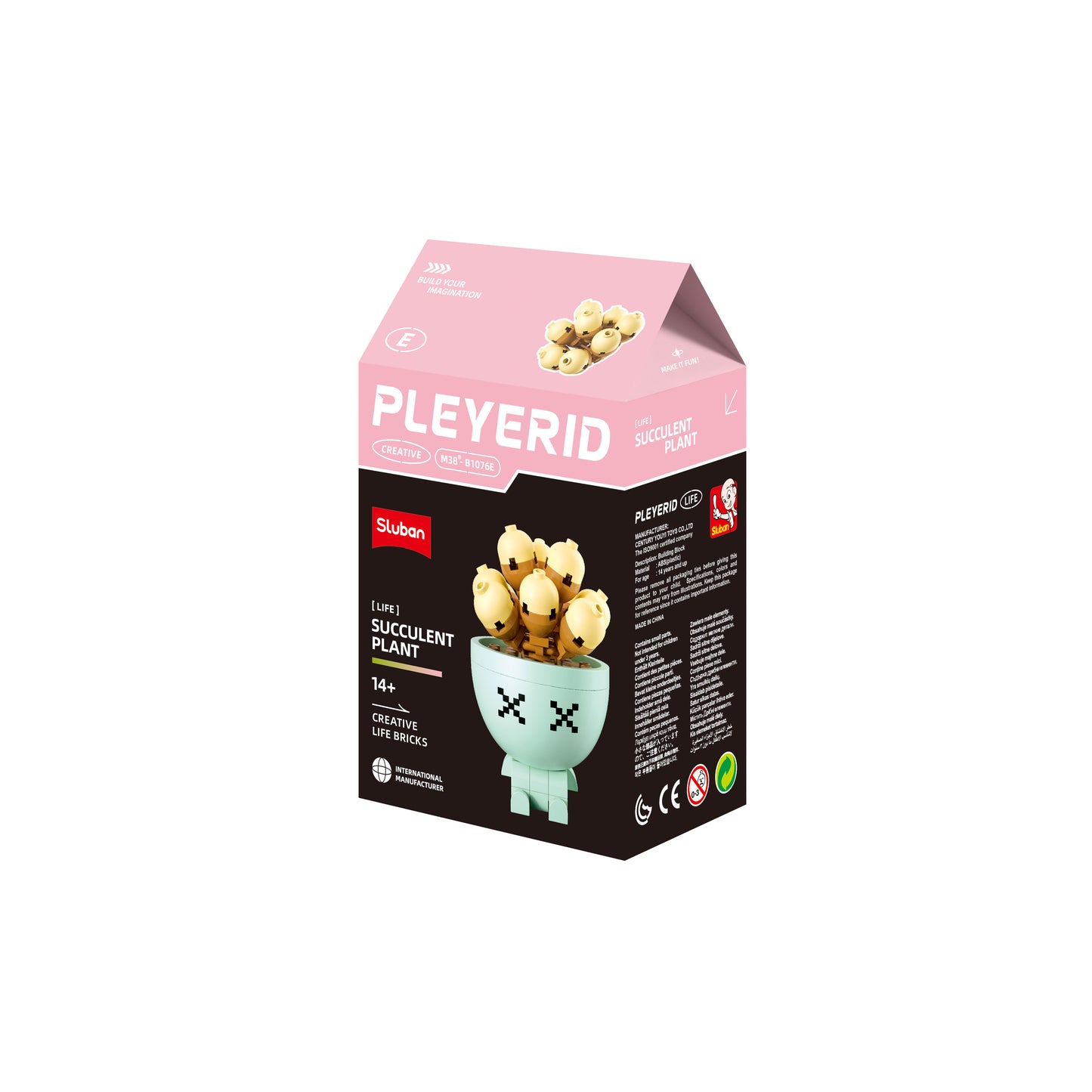 B1076 POTTED PLANTS SUCCULENT