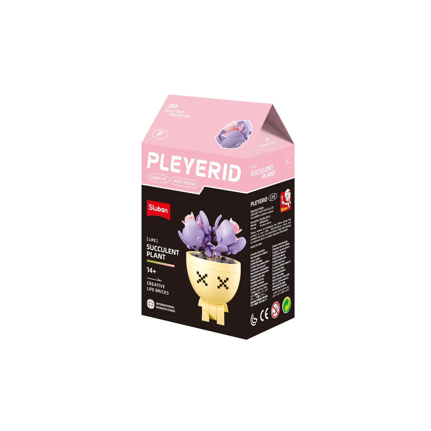 B1076 POTTED PLANTS SUCCULENT