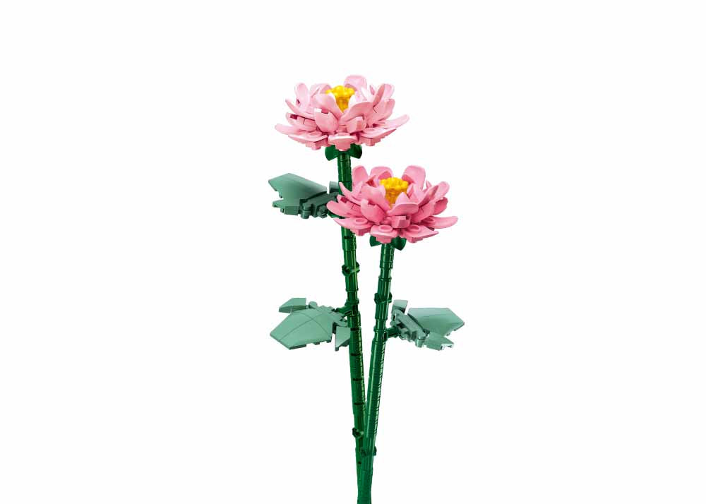 B1101-05 PEONIES 22 4PCS