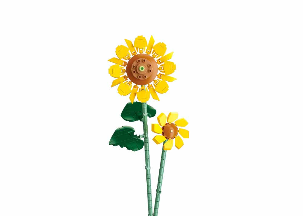 B1101-10 SUNFLOWER 251 PCS