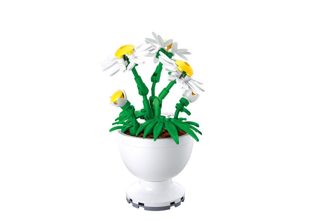 B1077 POTTED PLANTS LIFE FLOWERS