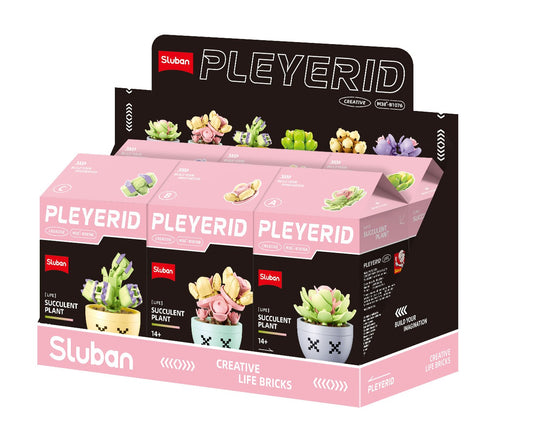 B1076 POTTED PLANTS SUCCULENT