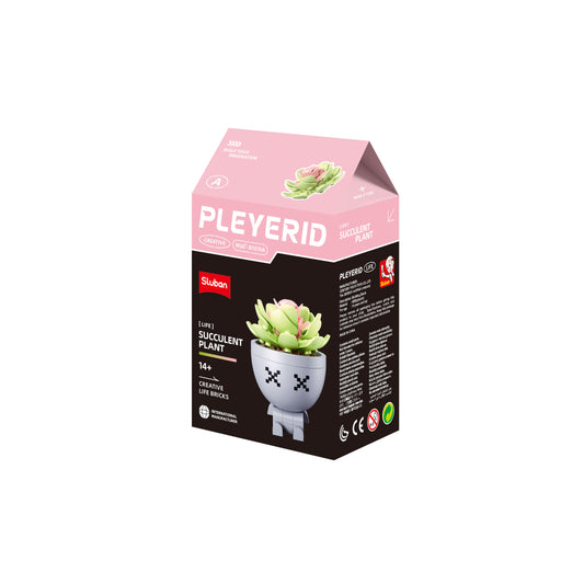 B1076 POTTED PLANTS SUCCULENT