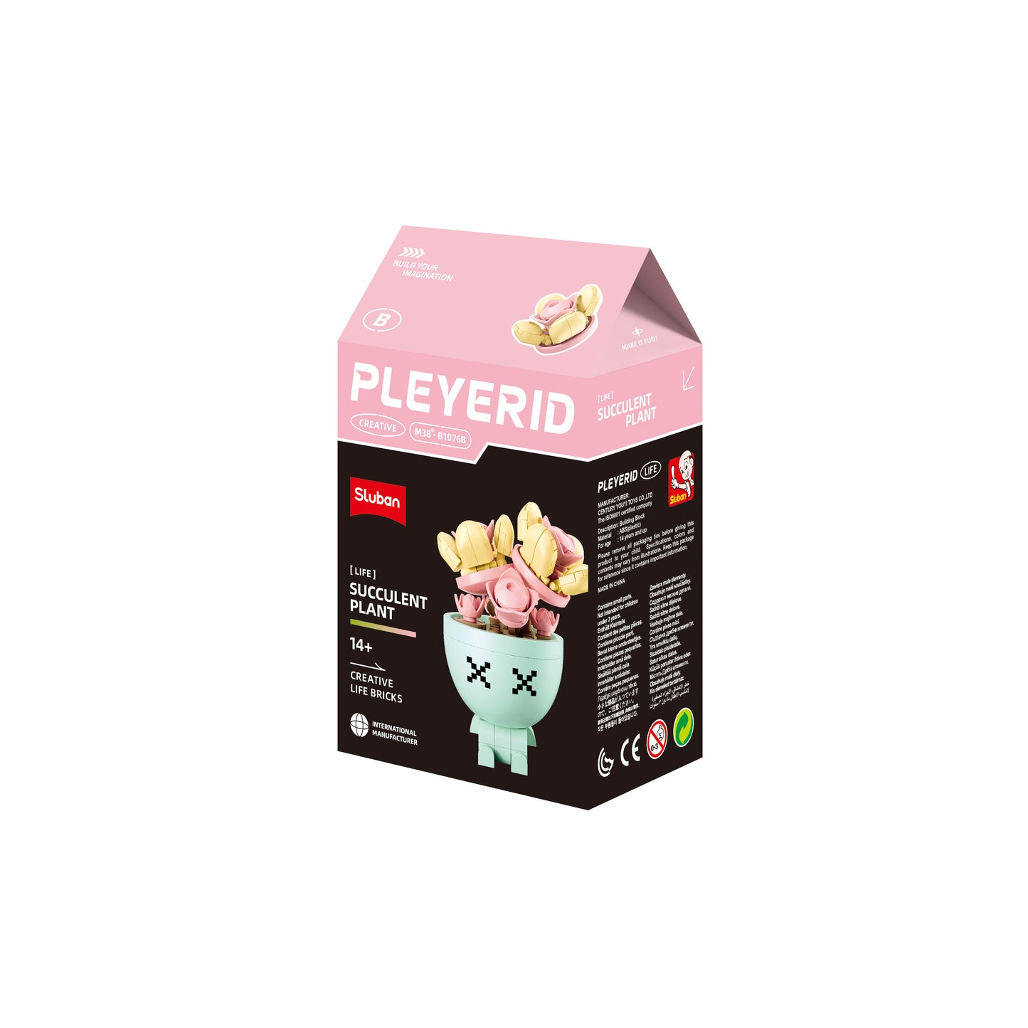 B1076 POTTED PLANTS SUCCULENT