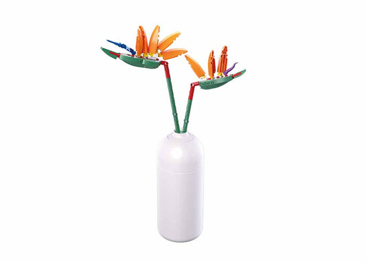 B1101-01 STRELITZIA REGINAE 148 PCS