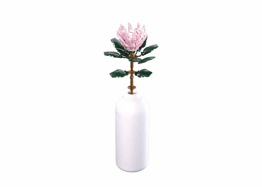 B1101-03 PROTEA CYNAROIDES 258 PCS