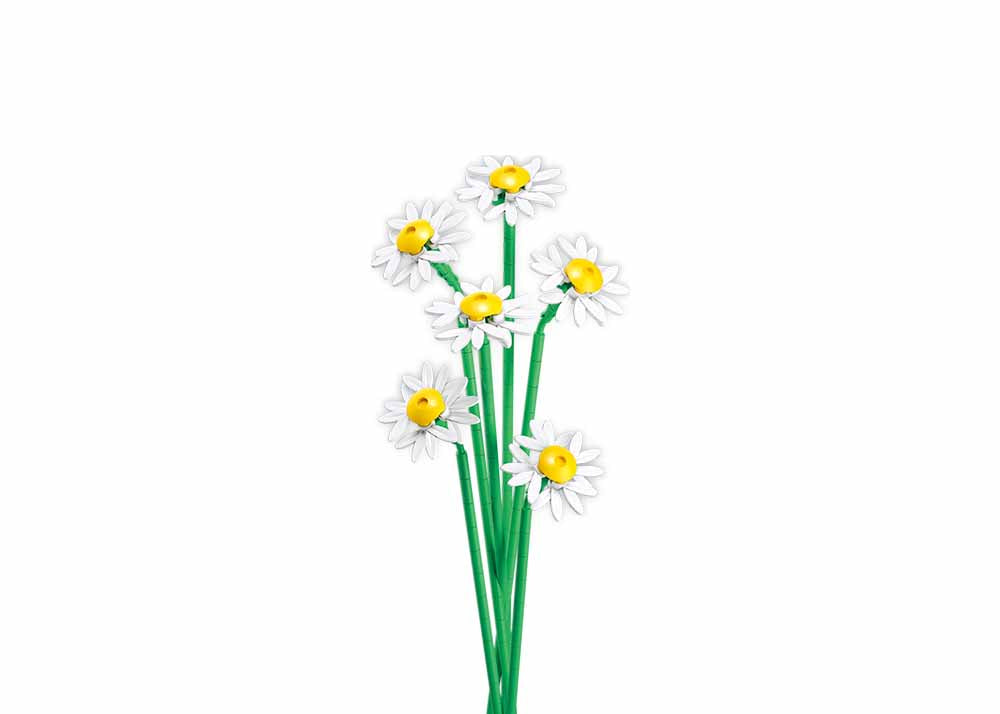 B1101-16 DAISY 255 PCS